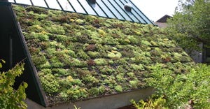 Green Roof at the Virginia Living Museum in Newport News, Virginia