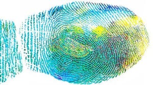 Fingerprint image