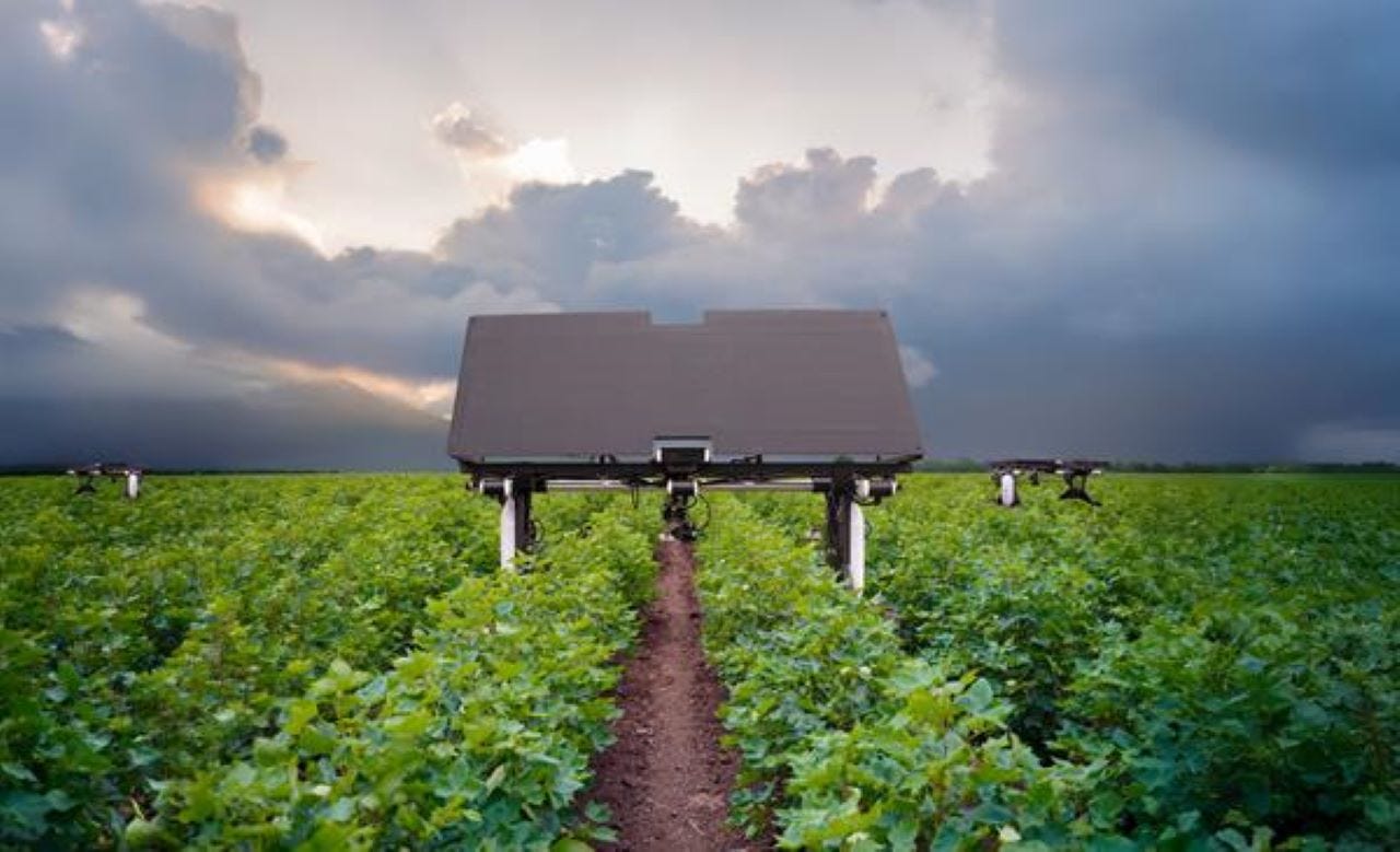 Autonomous, Solar-Powered Weeding Robot Gets Update