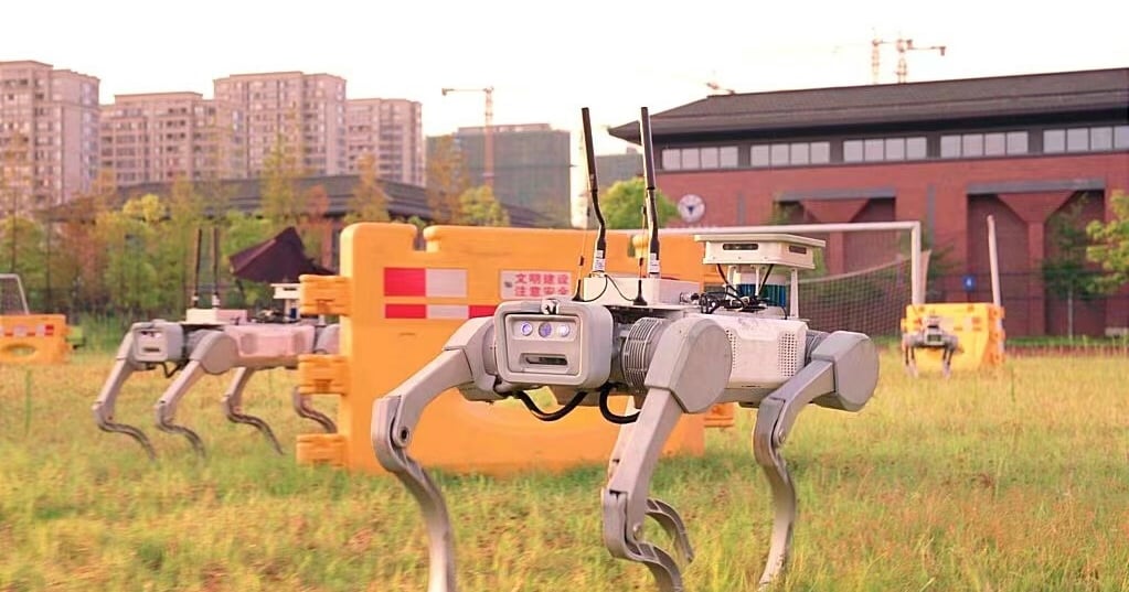 Search and Rescue Robots Successful in Trials