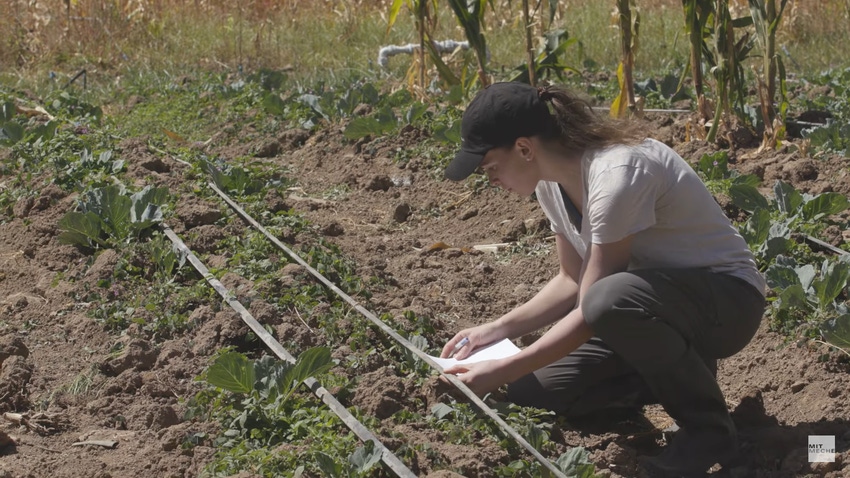 No Drop to Spare: MIT creates affordable, user-driven smart irrigation technology 