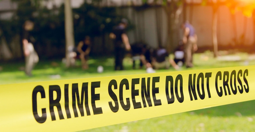 Murder Murder