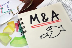 Illustration of mergers and acquisitions imagery, with a big fish swallowing a smaller fish