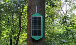 Dryad's smart sensors for wildfire detection