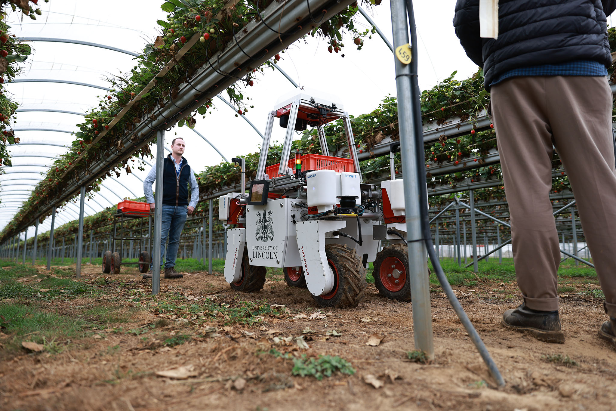 iot and wireless sensor network based autonomous farming robot