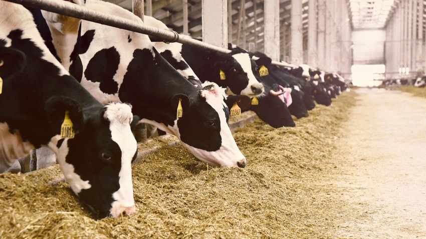 The “reusable bovine tracker” allows for consistent, remote monitoring of a herd