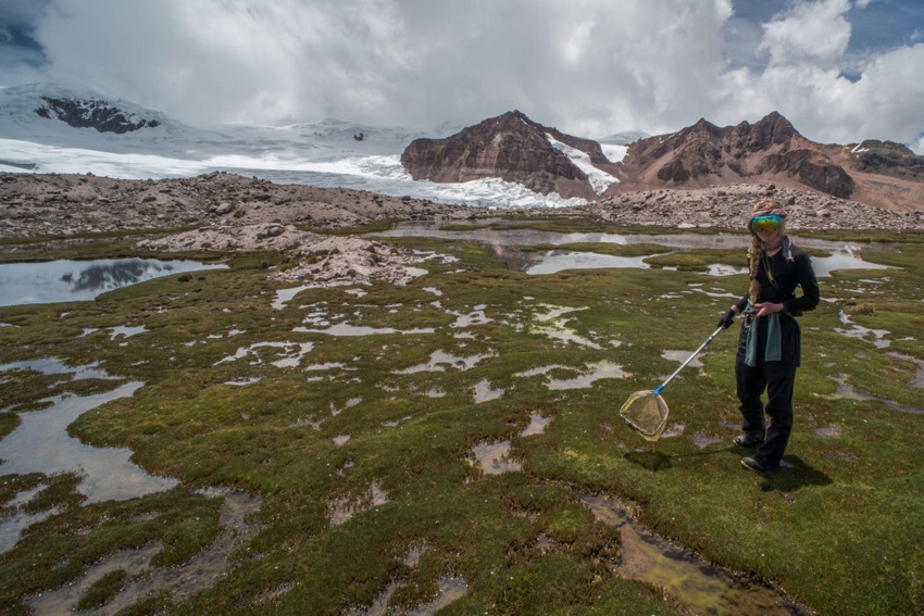 Image shows a field biologist working high in the Andes, gathering environmental data on Peruvian wildlife and glaciers.