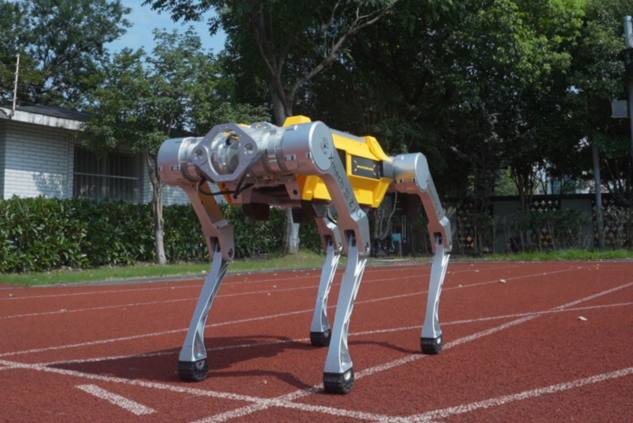 Robot Dog Passes Guinness World Record for Sprinting
