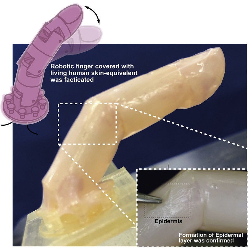 University of Tokyo robotic skin