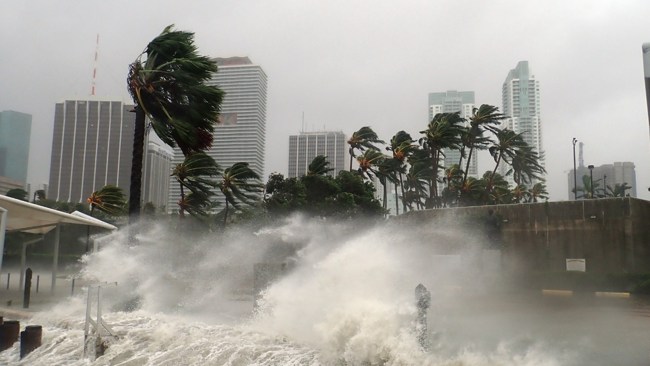 A storm lashed a coastline A storm lashed a coastline