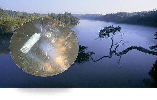 Image of a lake Image of a lake