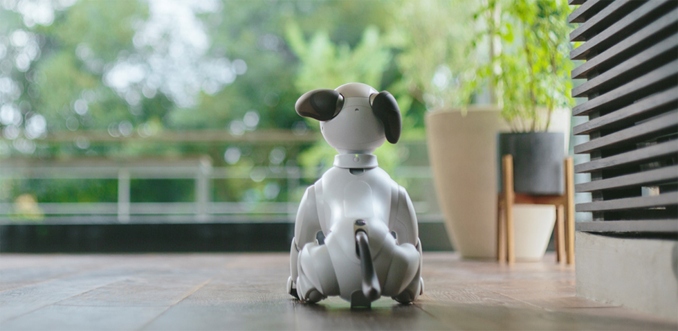 Sony Launches 'Foster Care' Service for Robot Dog Aibo
