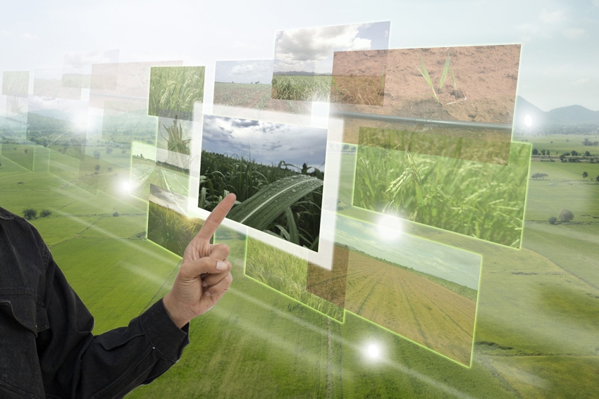 Internet of things(agriculture concept),smart farming,industrial agriculture.