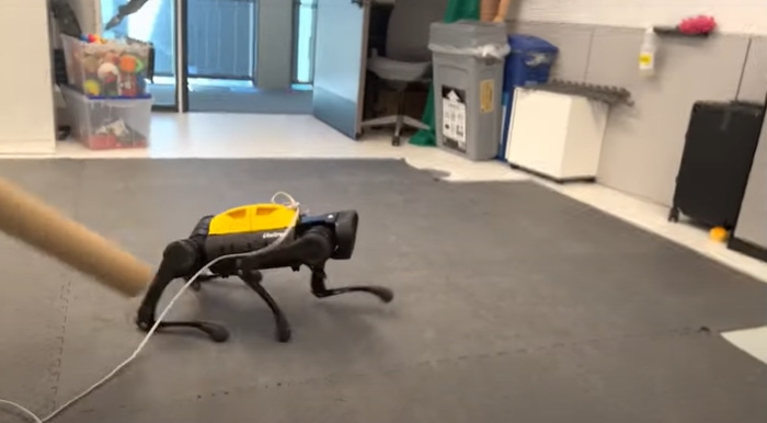 obotic dog taught itself to walk from a starting point on its back. obotic dog taught itself to walk from a starting point on its back.