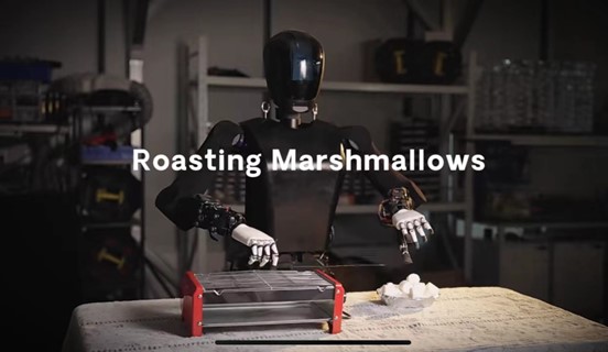 MagicBot roasting marshmallows