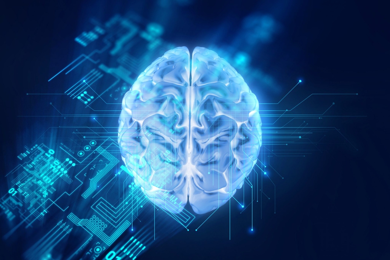 3d rendering of human brain on technology background 3d rendering of human brain on technology background