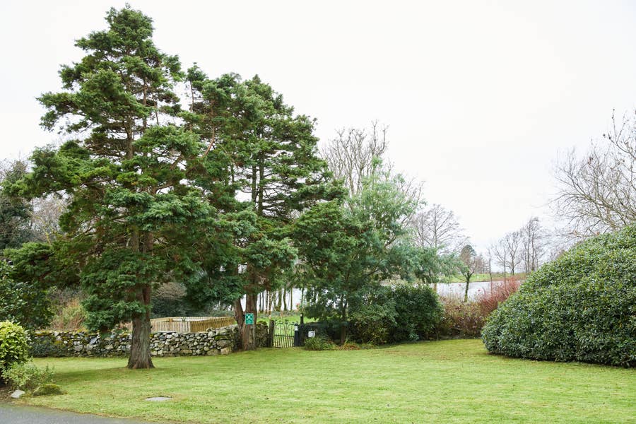Brynteg Lakeside Cottage garden