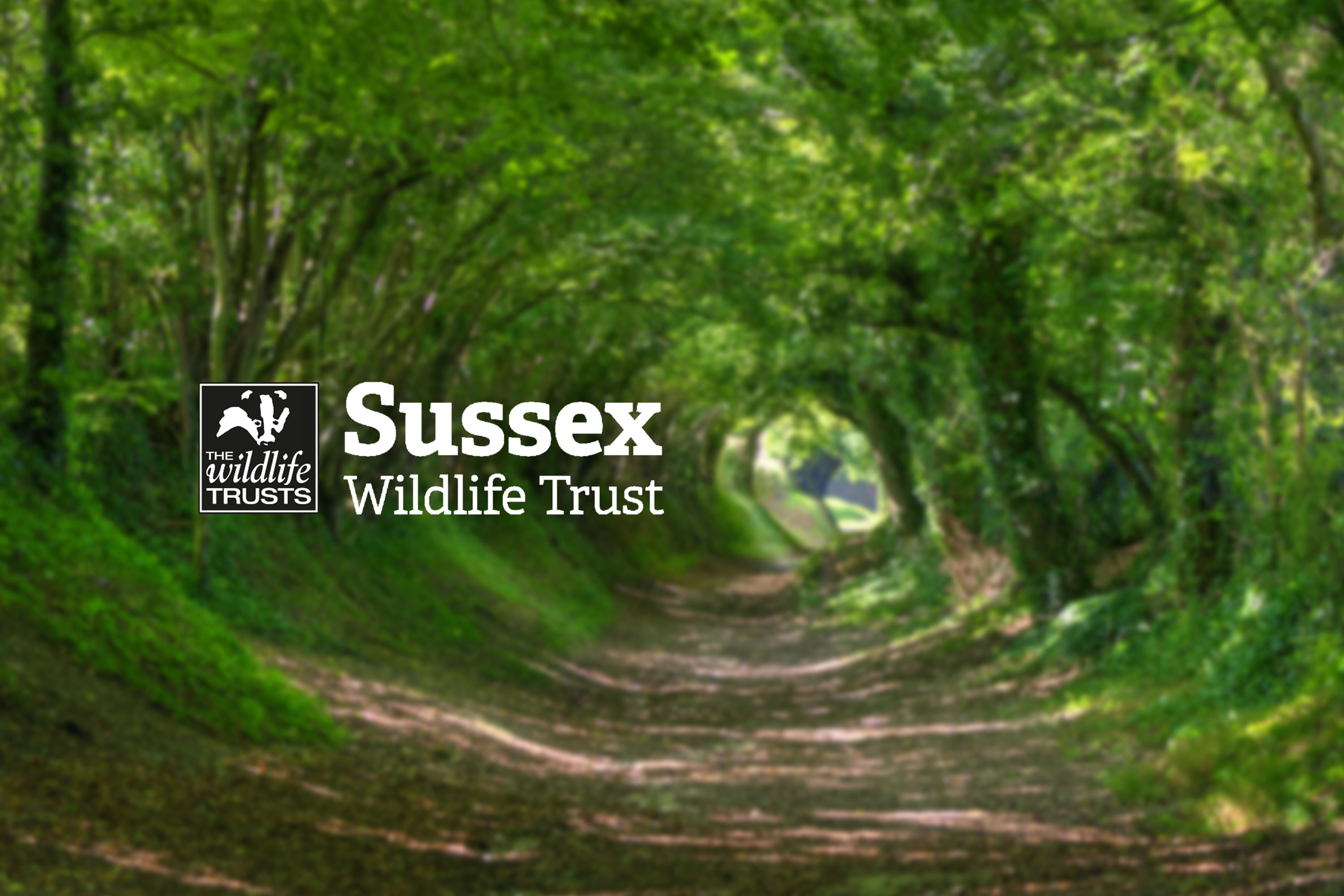 Sussex Wildlife Trust 