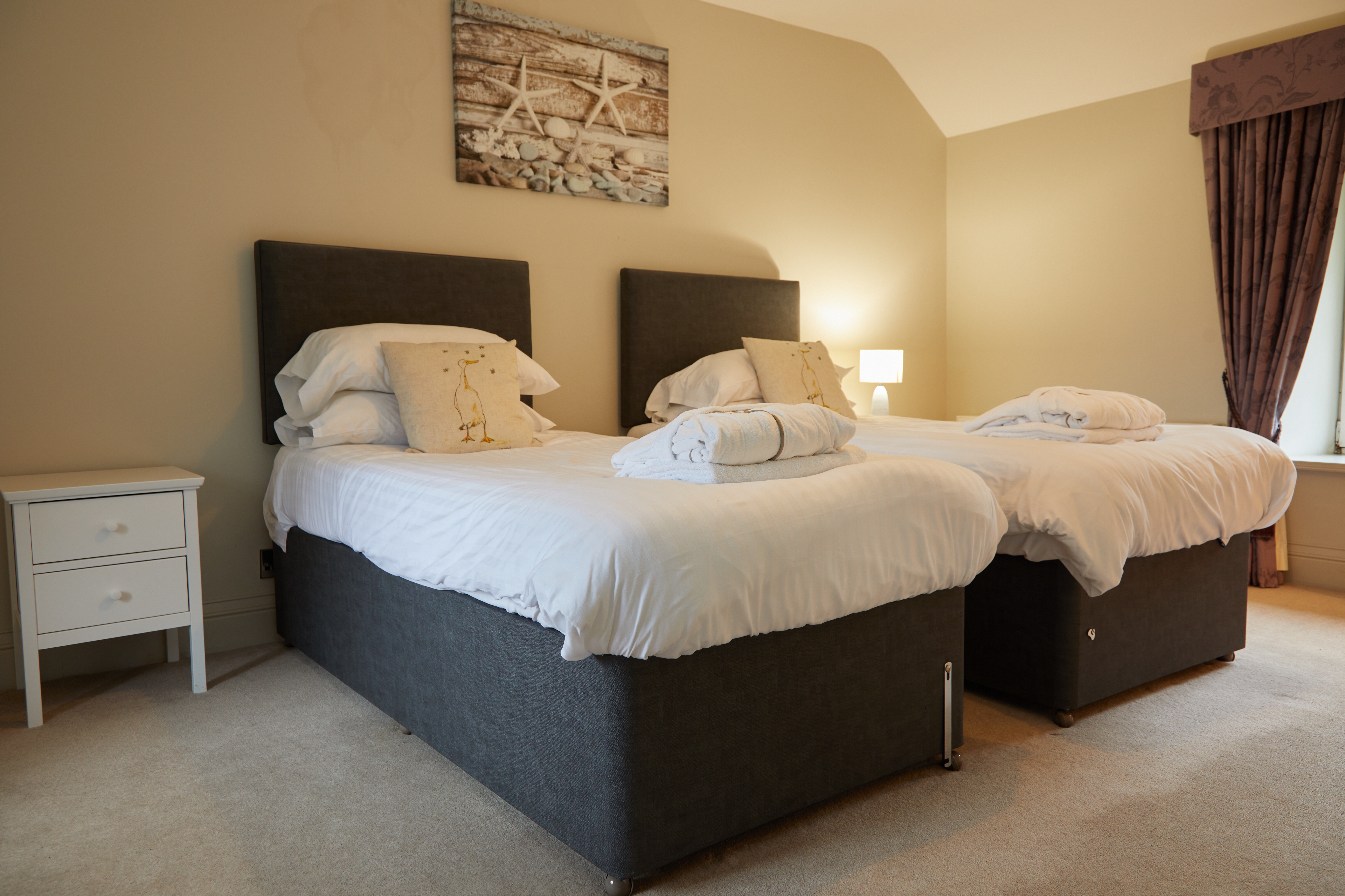 Brynteg Lakeside Cottage twin bedroom