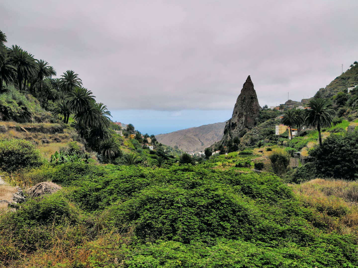 Grüne Insel La Gomera Grüne Insel La Gomera