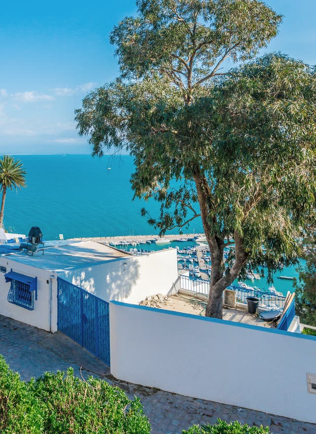 Tunisie Ville en Tunisie avec la mer en arrière-plan