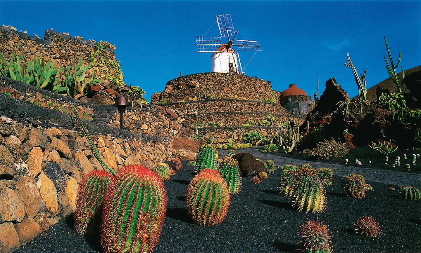 Kaktuslandschaft auf Lanzarote