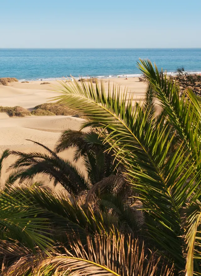 Last Minute Gran Canaria Maspalomas, Gran Canaria