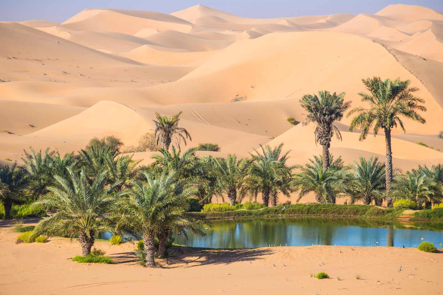 Remah Wüste bei Abu Dhabi