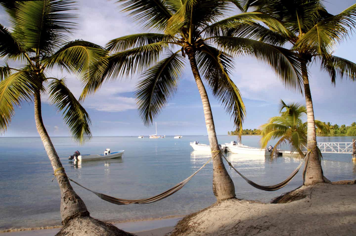 Hotelstrand mit Palmen, Malediven