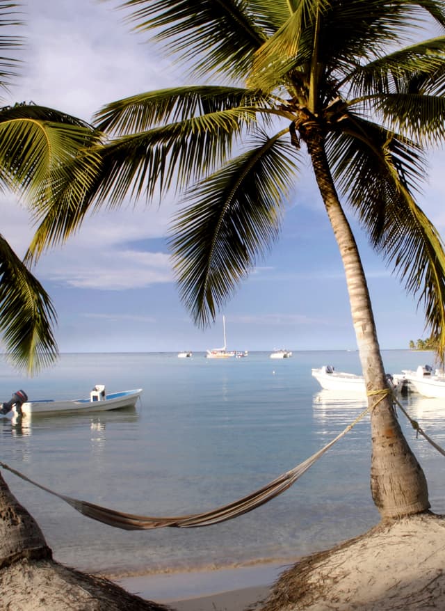 Last Minute Malediven MLE_00300_Beach_palmxxx_001.jpg