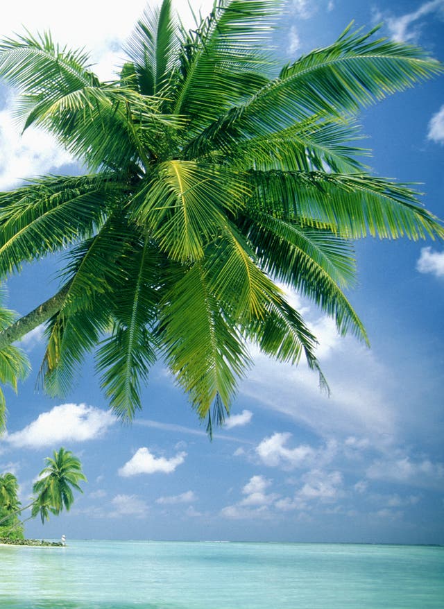 Vacances balnéaires en décembre malediven