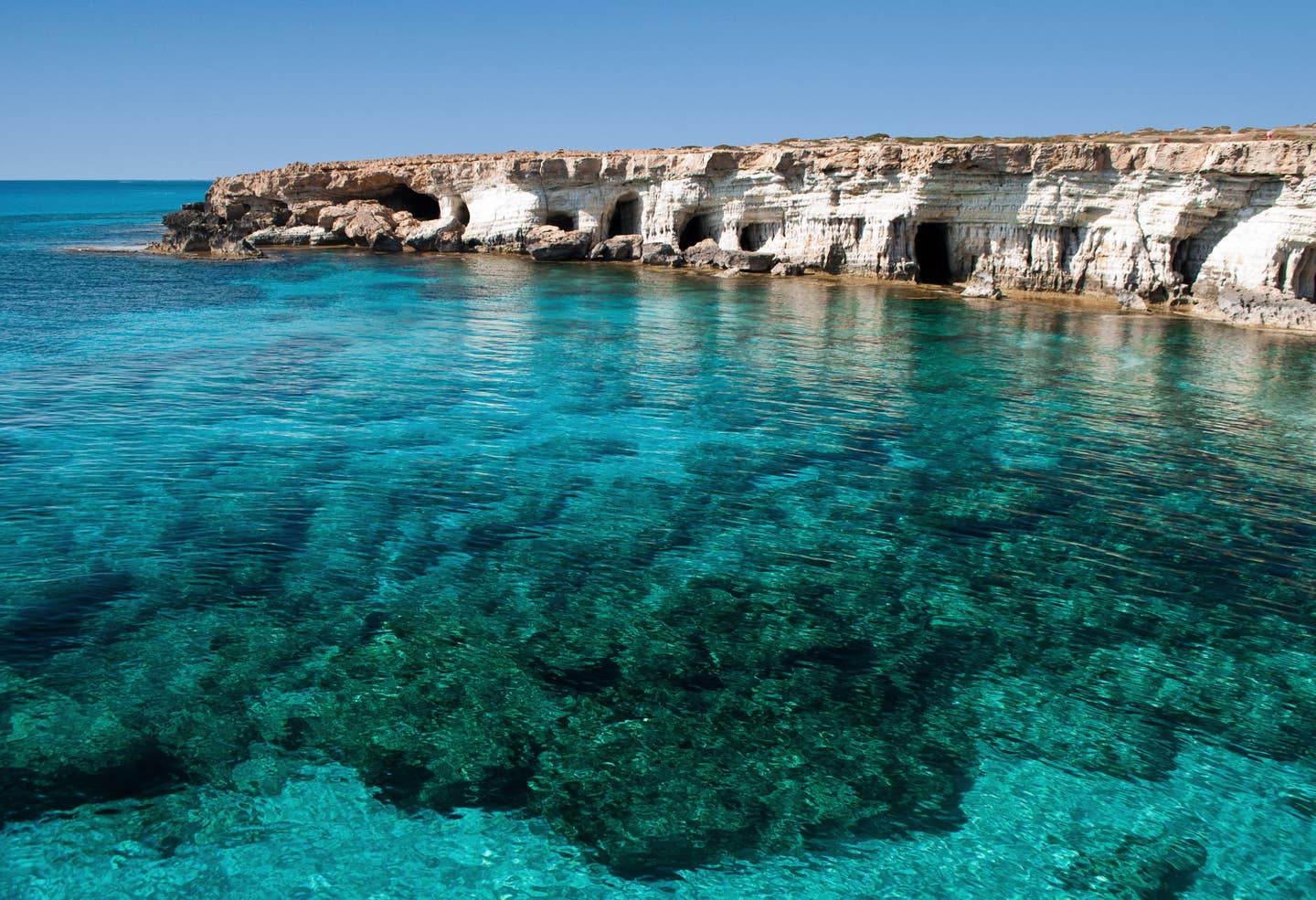 Côte de Chypre Côte de Chypre