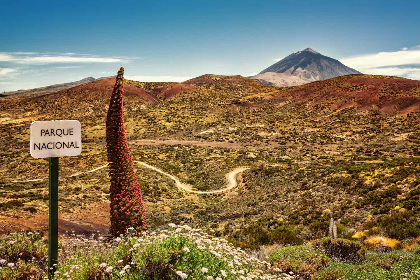 Blick auf den Teide, Teneriffa