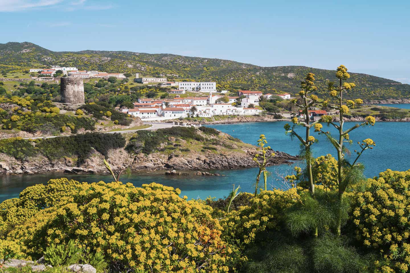 Asinara, Sardinien
