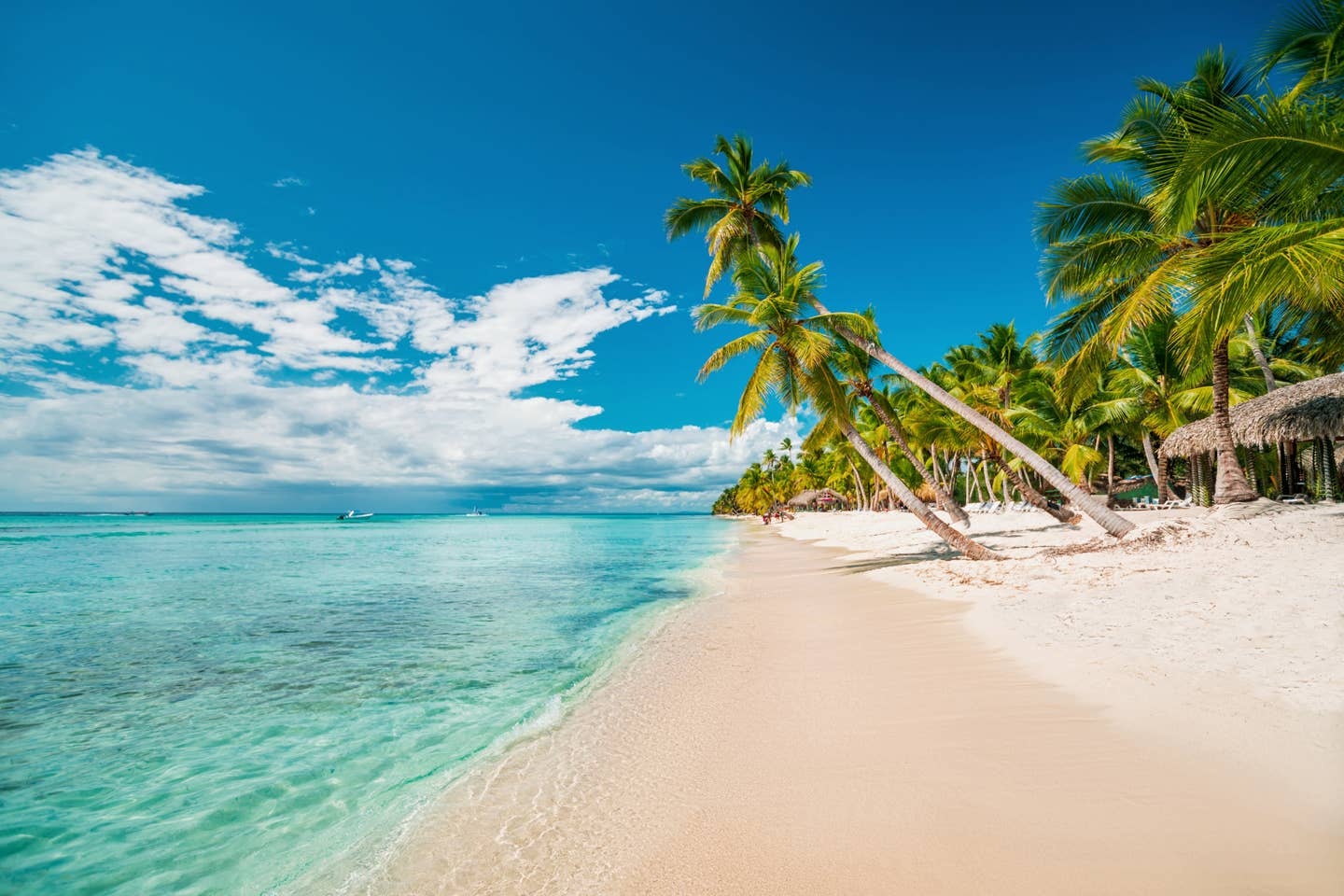 Strand von Punta Cana, Dominikanische Republik Strand von Punta Cana, Dominikanische Republik