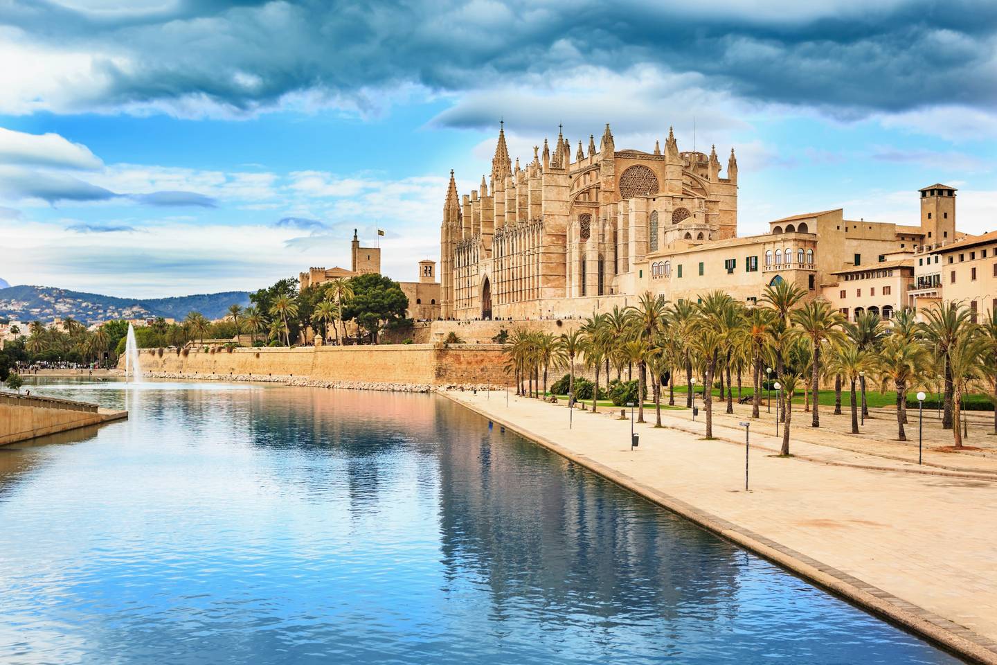 Blick auf die Kathedrale Basilica de Santa Maria, Mallorca