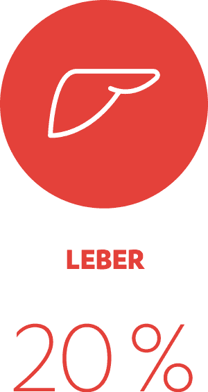 de-ch_amy-homepage-leber-1
