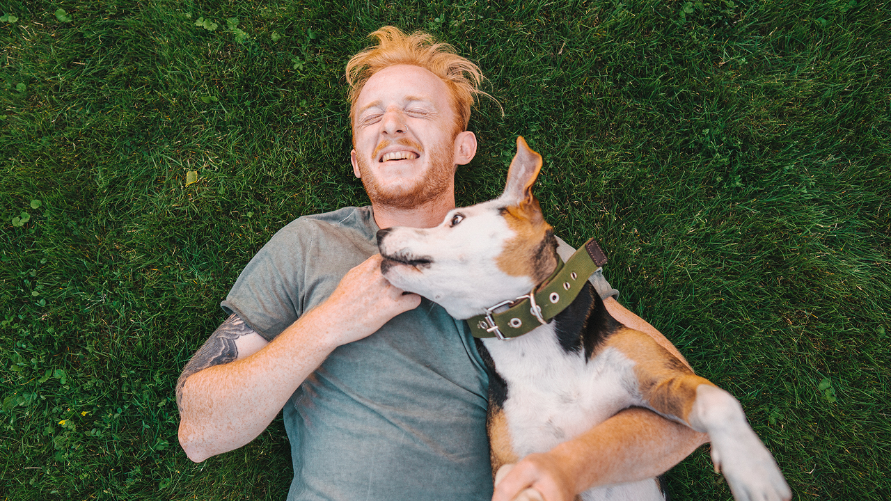 Marktführer thumbnail Marktführer thumbnail