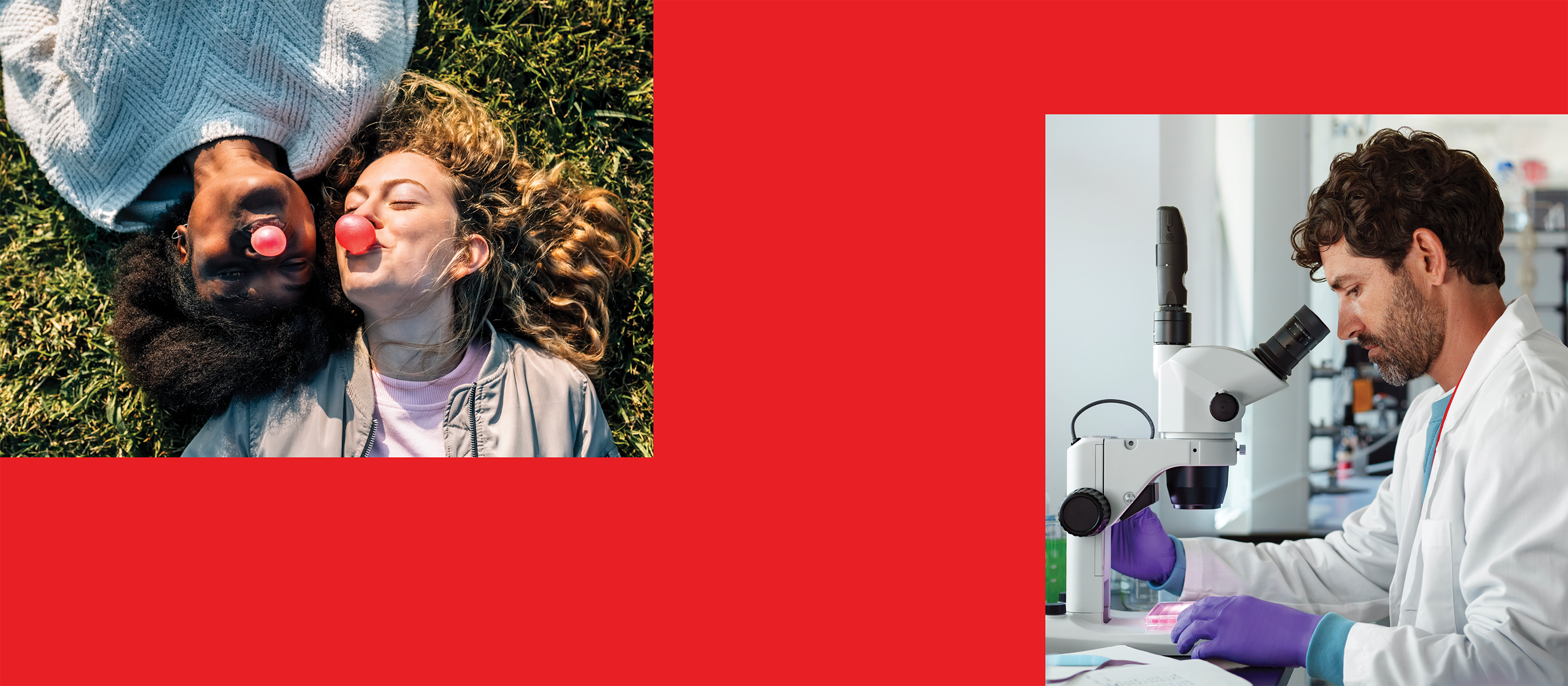 Immunologie beginnt mit J.