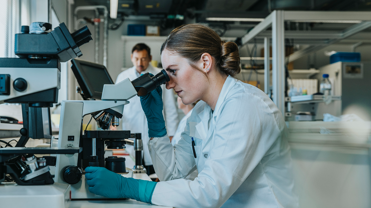 Forschung thumbnail Forschung thumbnail