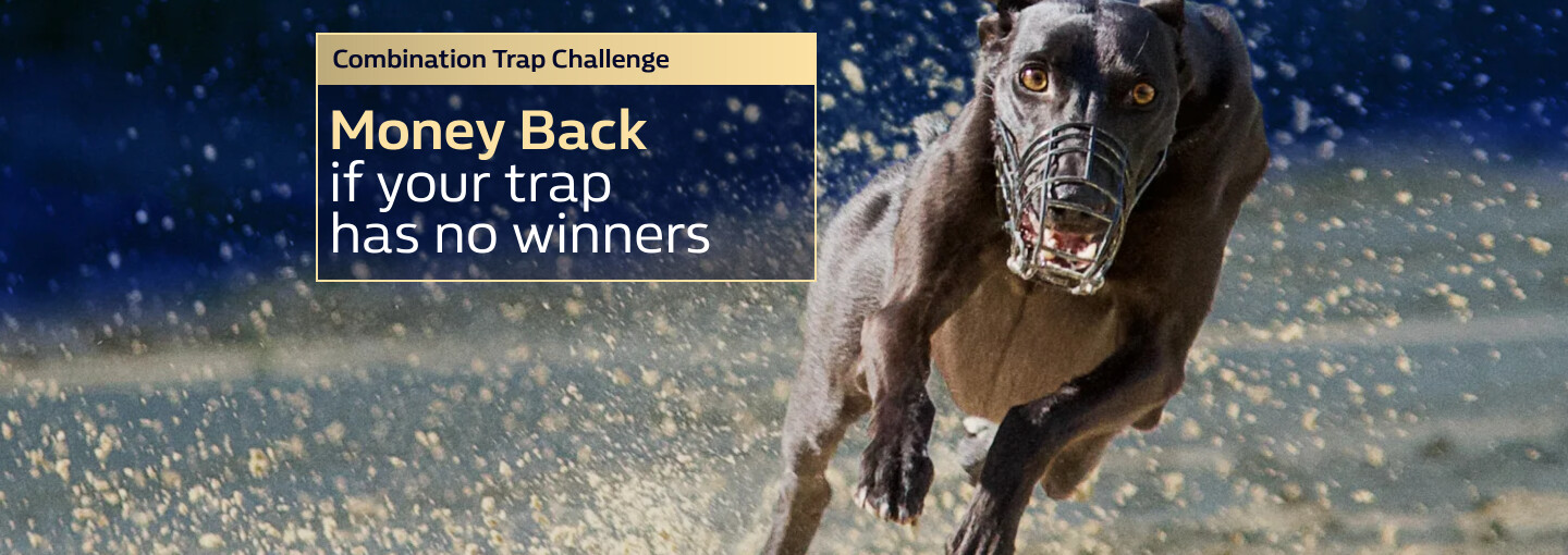 Trap Challenge Money Back