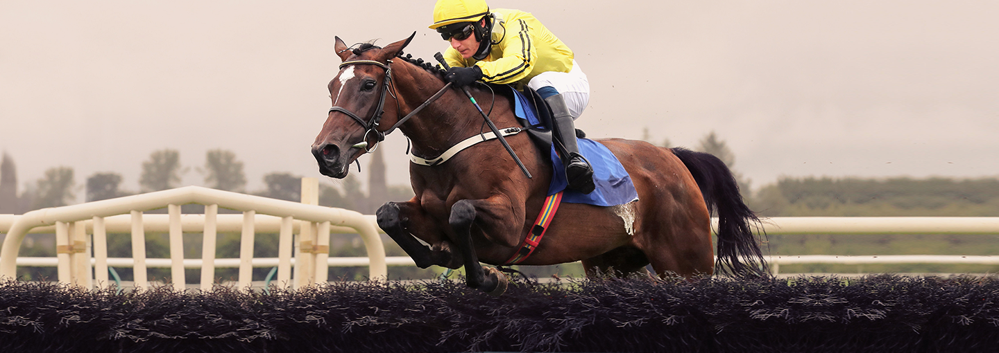 Grand National 2024