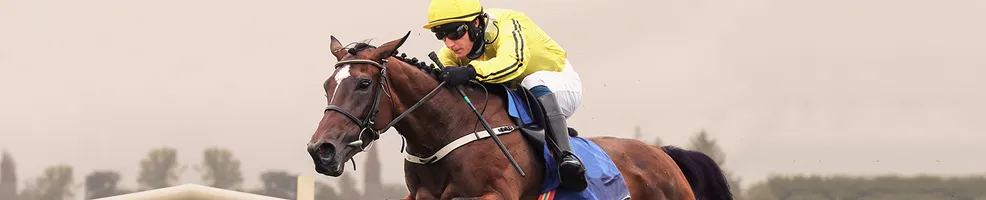 Grand National 2024
