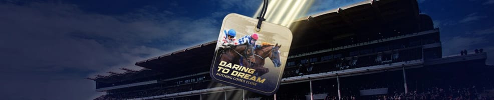 Claim a £5 / €5 Free bet to use on any Day 1 Cheltenham race