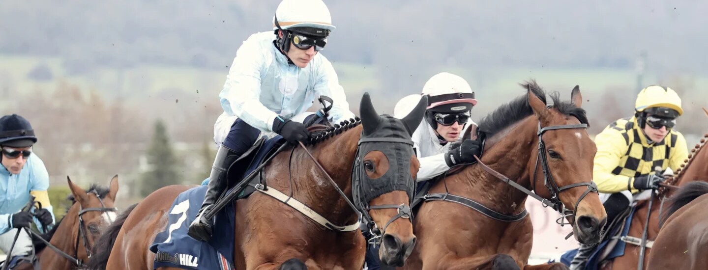 Bet & Get – Bet Cheltenham Multi Get Horse Racing