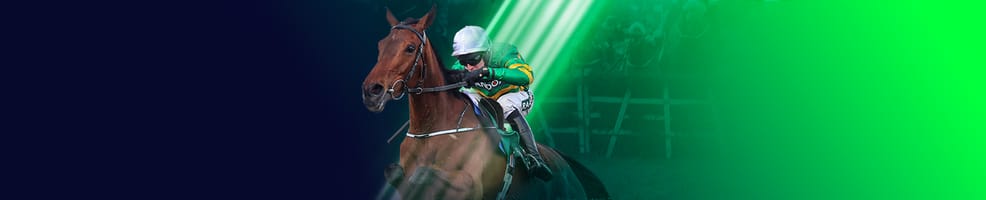 Mullins to have a Winner on Day 1 at Cheltenham at 40/1
