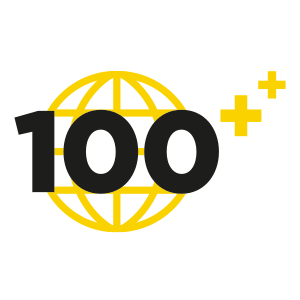 100 icon