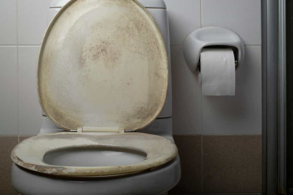 Dirty Western toilet 