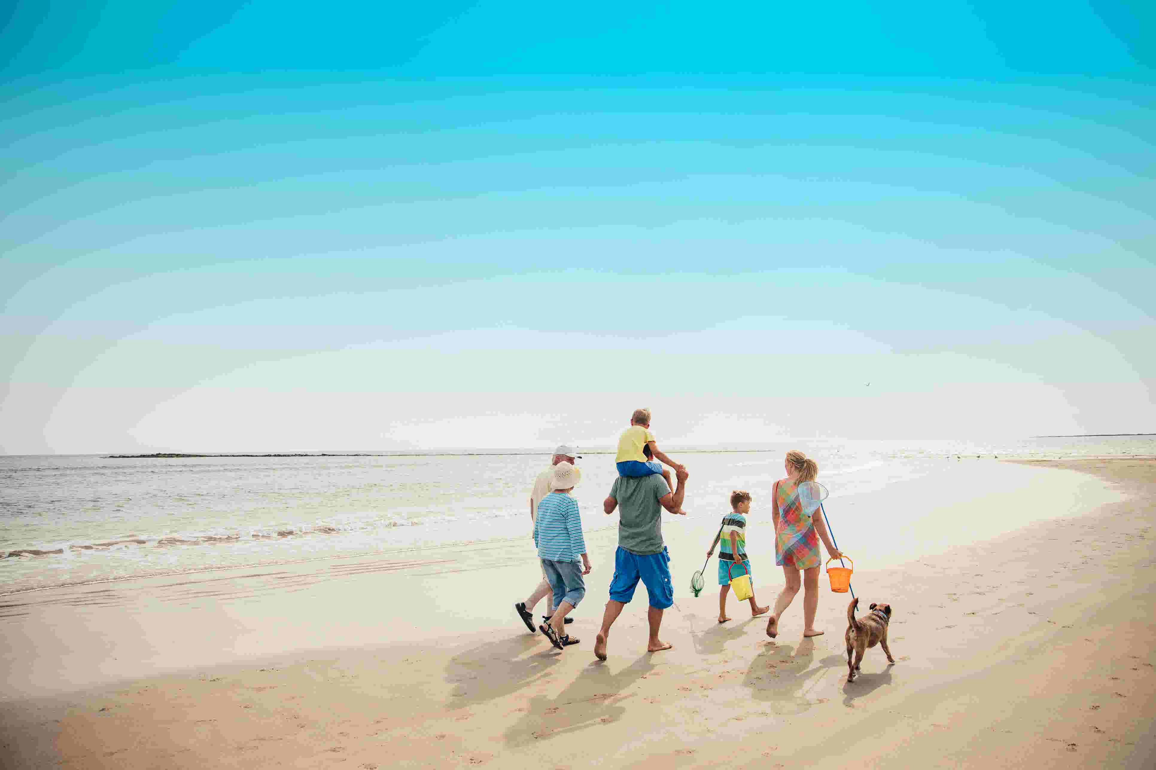 A family walking with a dog on the beach
