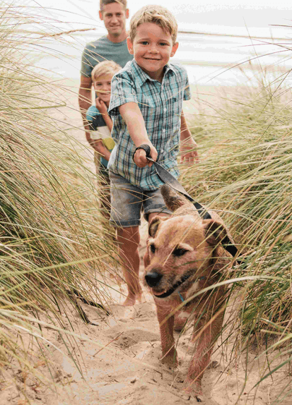 A family walking a dog on a beach